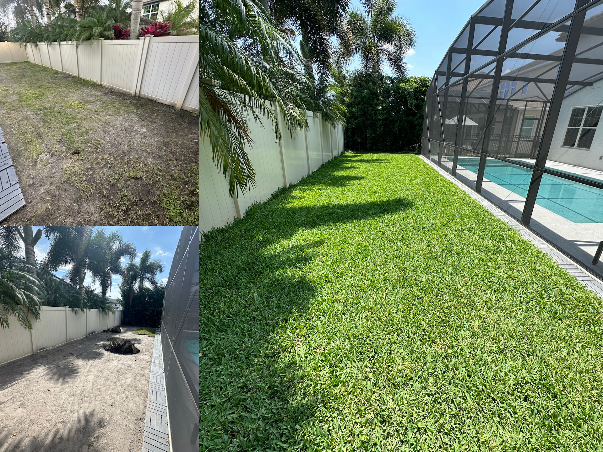 Before and after professional sod installation process in Orlando Florida showing lawn transformation