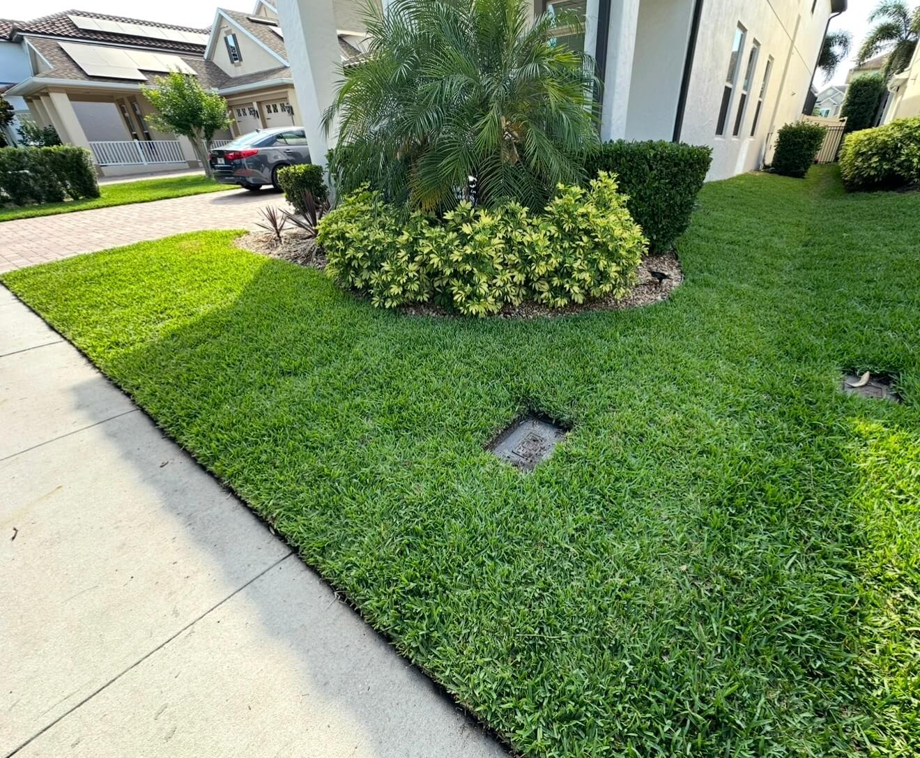 After CitraBlue St Augustine sod installation in Windermere FL with lush green lawn