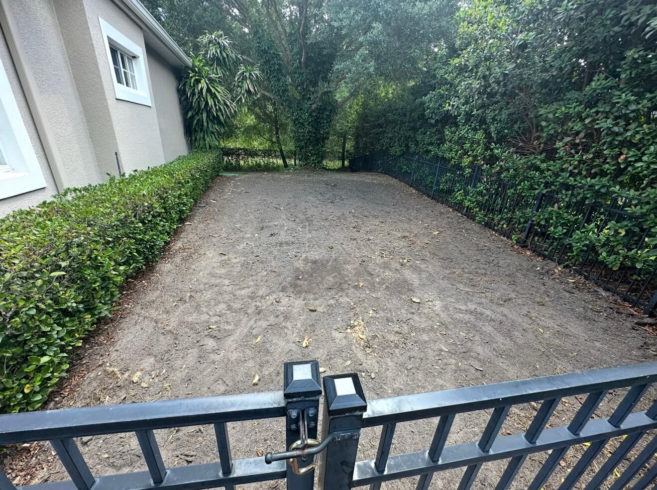 Before lawn replacement in Winter Park Orlando showing damaged grass
