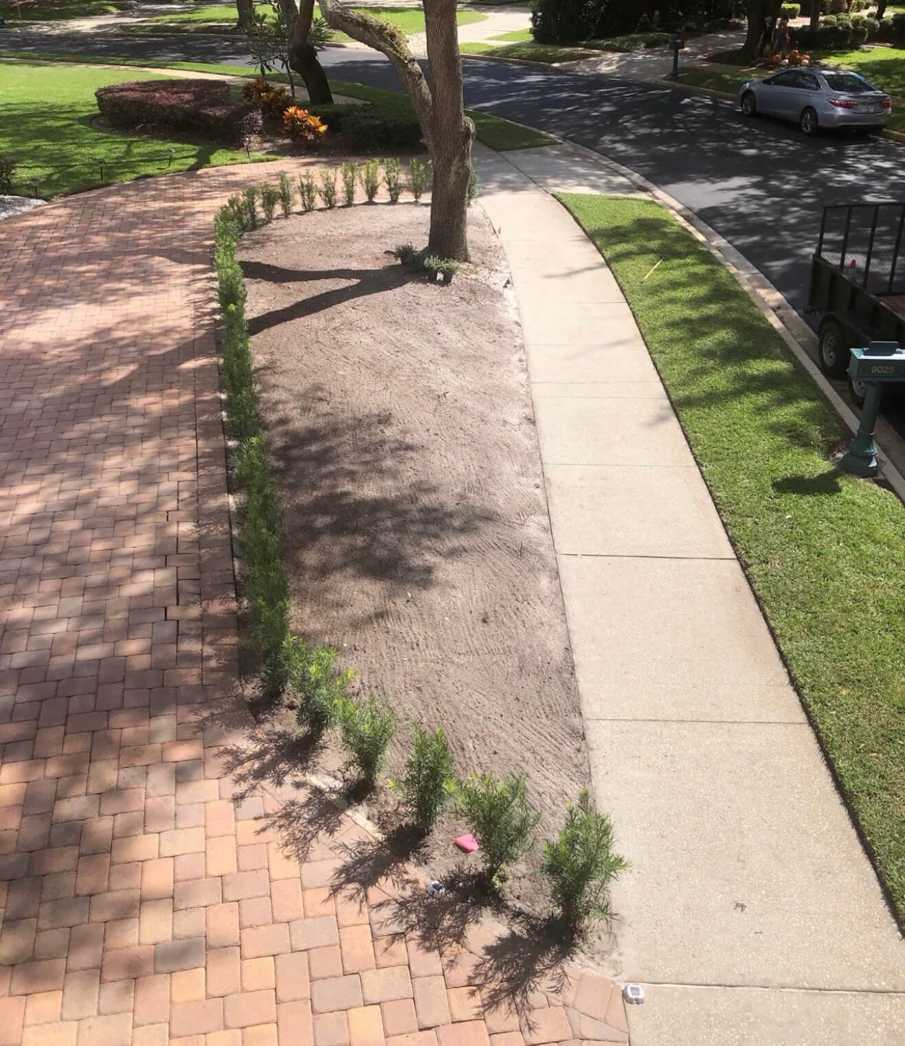 Before residential sod removal in Lake Mary FL