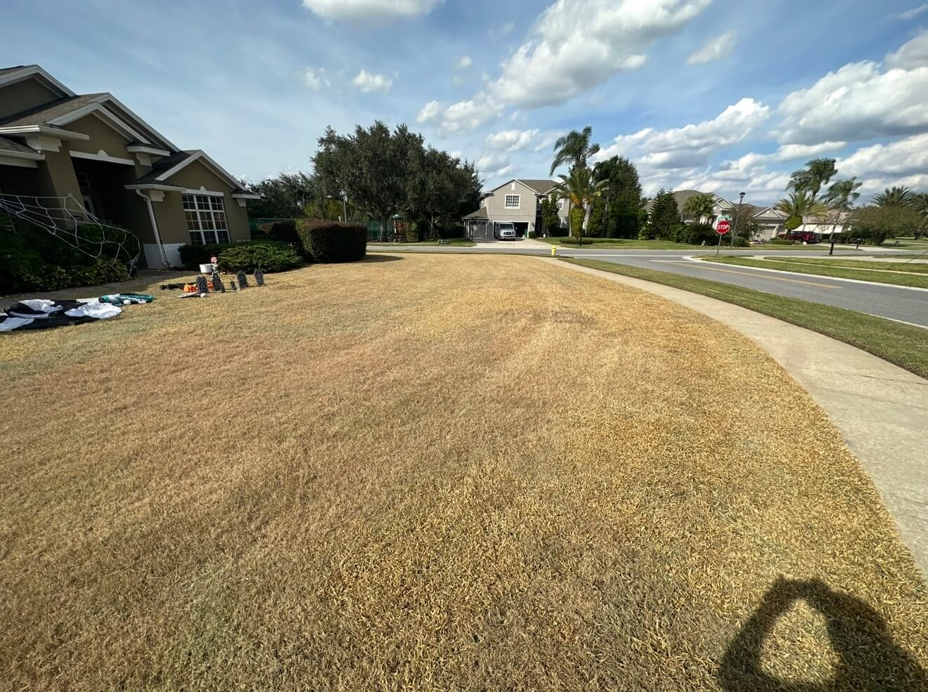 Before sod removal in Oviedo FL