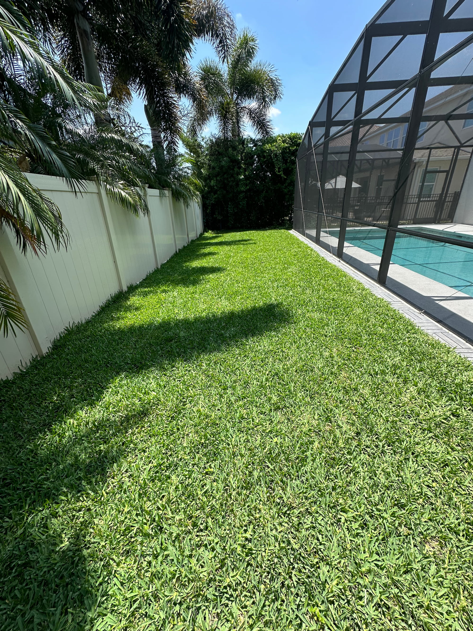 After St Augustine Palmetto sod installation in Four Corners Orlando